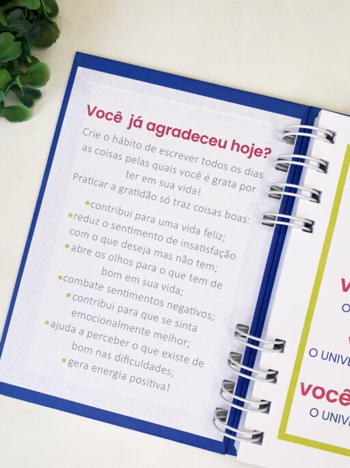 Kit Gratidão - Coleção Inaá - Imagem 5